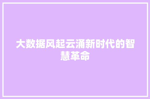大数据风起云涌新时代的智慧革命