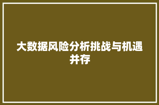 大数据风险分析挑战与机遇并存