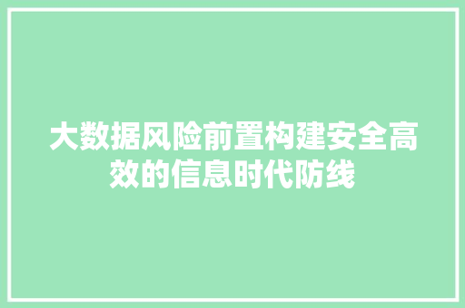 大数据风险前置构建安全高效的信息时代防线