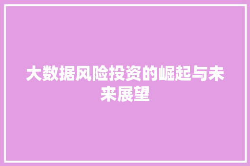 大数据风险投资的崛起与未来展望