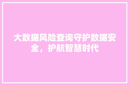 大数据风险查询守护数据安全，护航智慧时代