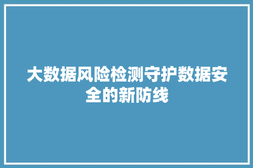大数据风险检测守护数据安全的新防线