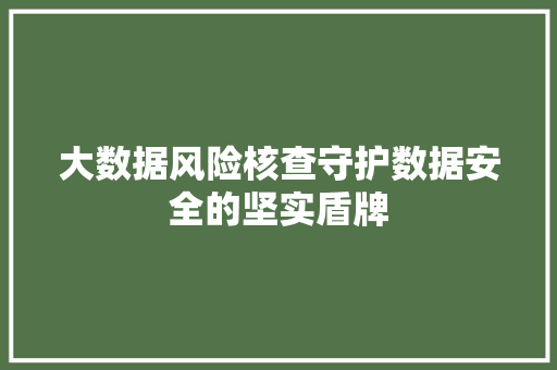 大数据风险核查守护数据安全的坚实盾牌