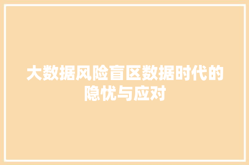 大数据风险盲区数据时代的隐忧与应对