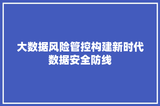 大数据风险管控构建新时代数据安全防线