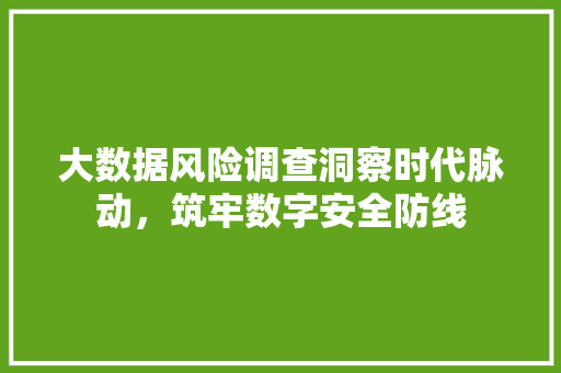 大数据风险调查洞察时代脉动，筑牢数字安全防线