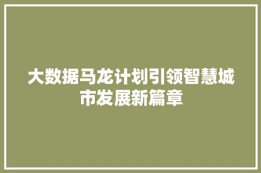 大数据马龙计划引领智慧城市发展新篇章