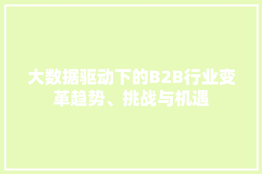 大数据驱动下的B2B行业变革趋势、挑战与机遇