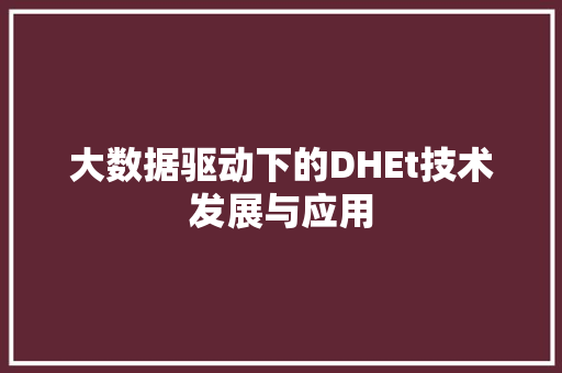 大数据驱动下的DHEt技术发展与应用