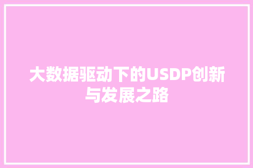 大数据驱动下的USDP创新与发展之路