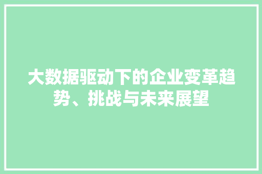 大数据驱动下的企业变革趋势、挑战与未来展望