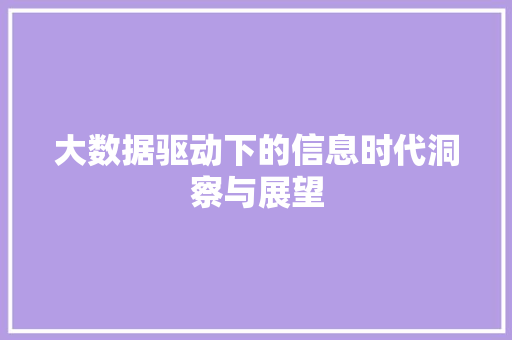 大数据驱动下的信息时代洞察与展望