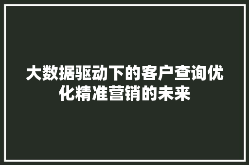大数据驱动下的客户查询优化精准营销的未来
