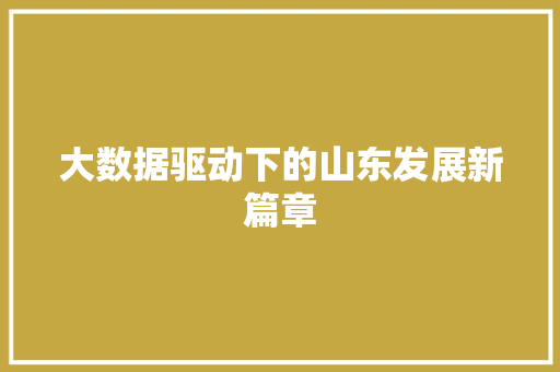 大数据驱动下的山东发展新篇章