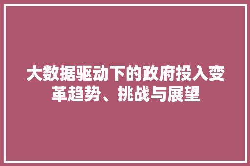 大数据驱动下的政府投入变革趋势、挑战与展望