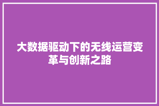 大数据驱动下的无线运营变革与创新之路