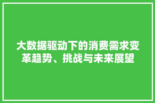 大数据驱动下的消费需求变革趋势、挑战与未来展望