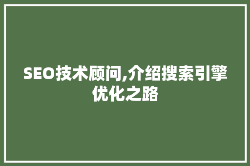 SEO技术顾问,介绍搜索引擎优化之路