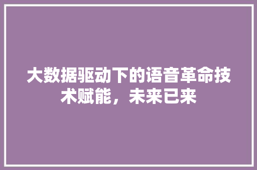 大数据驱动下的语音革命技术赋能，未来已来
