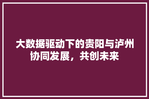 大数据驱动下的贵阳与泸州协同发展，共创未来