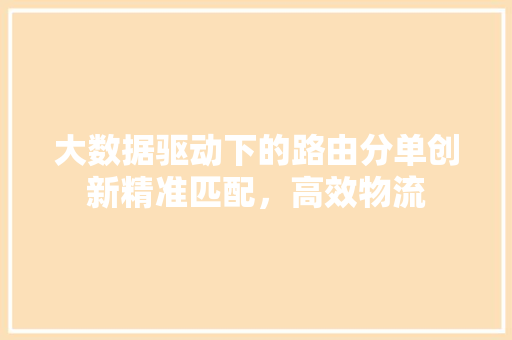 大数据驱动下的路由分单创新精准匹配，高效物流