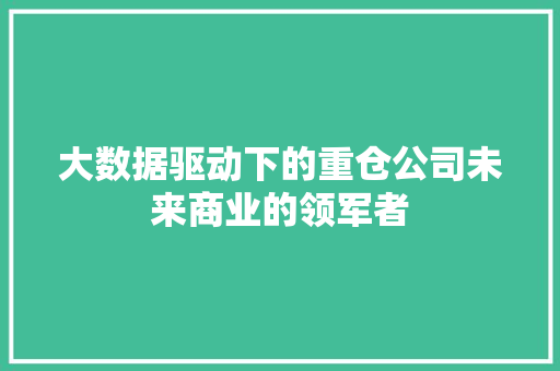 大数据驱动下的重仓公司未来商业的领军者