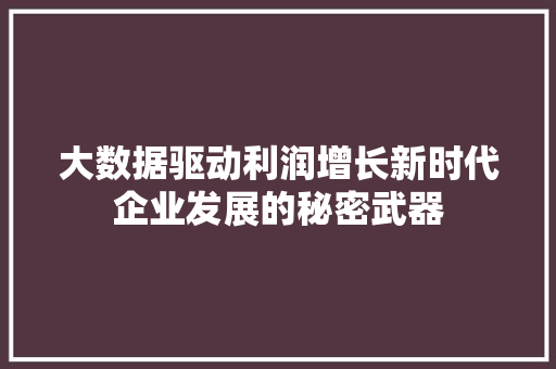 大数据驱动利润增长新时代企业发展的秘密武器
