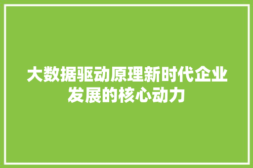 大数据驱动原理新时代企业发展的核心动力