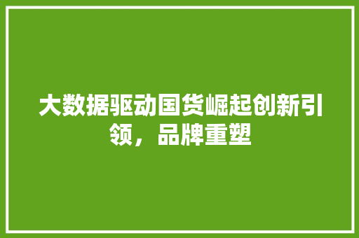 大数据驱动国货崛起创新引领，品牌重塑