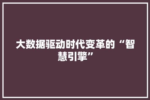 大数据驱动时代变革的“智慧引擎”