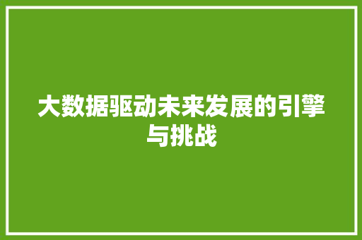 大数据驱动未来发展的引擎与挑战