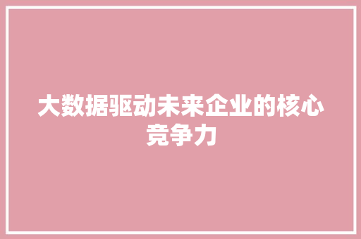 大数据驱动未来企业的核心竞争力