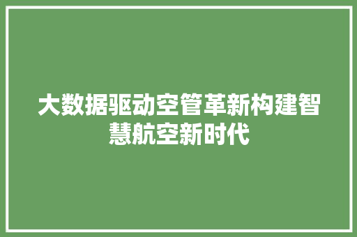 大数据驱动空管革新构建智慧航空新时代