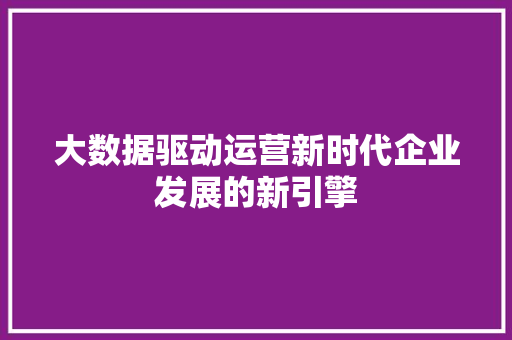 大数据驱动运营新时代企业发展的新引擎