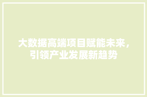 大数据高端项目赋能未来，引领产业发展新趋势