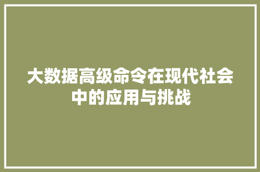 大数据高级命令在现代社会中的应用与挑战