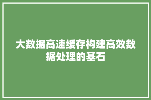 大数据高速缓存构建高效数据处理的基石
