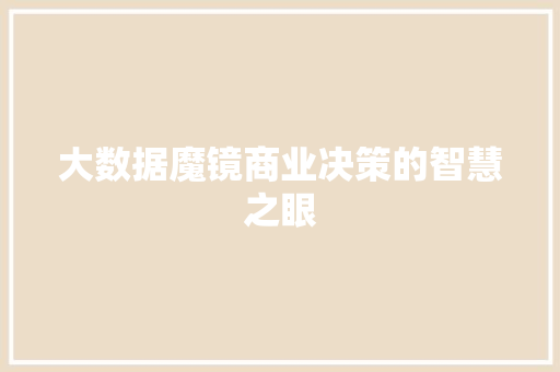 大数据魔镜商业决策的智慧之眼