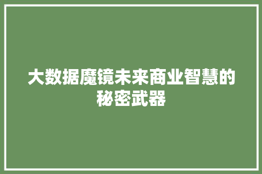 大数据魔镜未来商业智慧的秘密武器