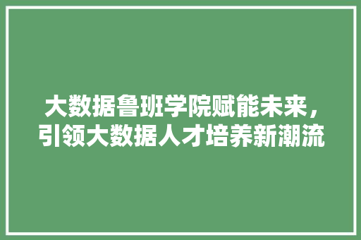 大数据鲁班学院赋能未来，引领大数据人才培养新潮流
