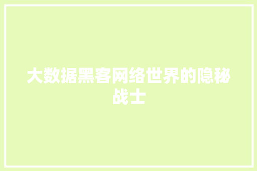 大数据黑客网络世界的隐秘战士