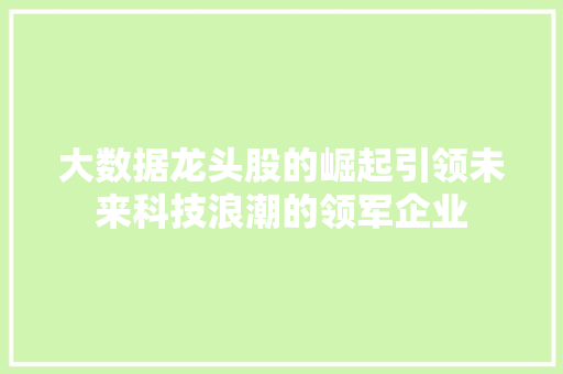 大数据龙头股的崛起引领未来科技浪潮的领军企业