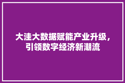 大洼大数据赋能产业升级，引领数字经济新潮流