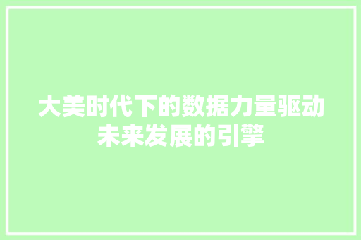 大美时代下的数据力量驱动未来发展的引擎