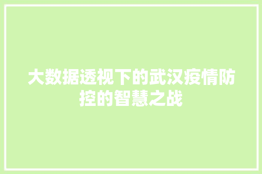 大数据透视下的武汉疫情防控的智慧之战