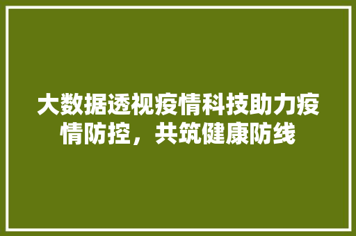 大数据透视疫情科技助力疫情防控，共筑健康防线