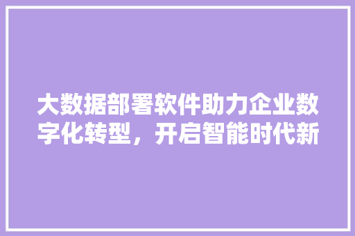 大数据部署软件助力企业数字化转型，开启智能时代新篇章
