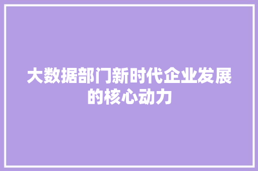 大数据部门新时代企业发展的核心动力