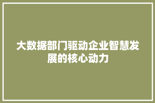 大数据部门驱动企业智慧发展的核心动力