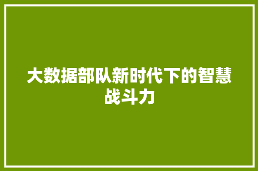 大数据部队新时代下的智慧战斗力